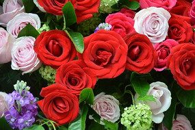 ���˽�õ�廨