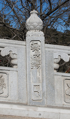 ɽ髻���������