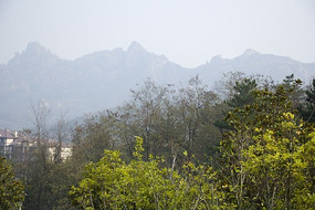 Զ����ɽ��