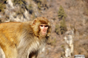 еĺ