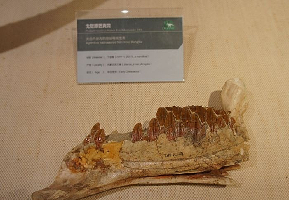 ���ԭ�Ϳ���