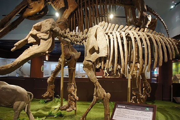 ���ϲ�����