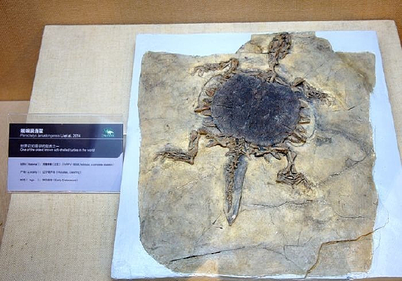 ���������ʯ