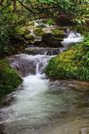 山涧泉水图片大全图片