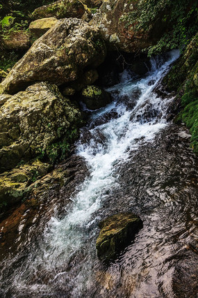 �����ٲ�