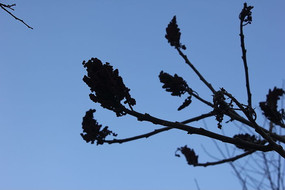 �����µĻ����ͼƬ