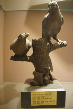 ��ֻ������