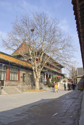 �ൺտɽ�µľ�ɫ