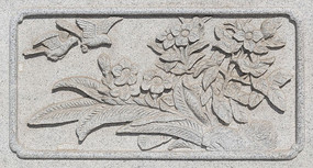 �����Ƹ���