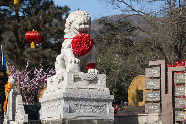 ���컨��ʯʨ��