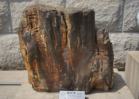 軯ľʯ