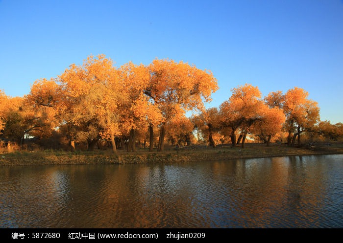 ���Ϻ�����ɭ��ͼƬ