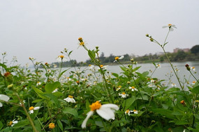 ���߻���