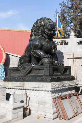 �����ʯʨ��