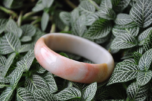 Ʈ������