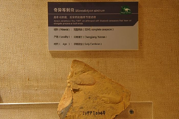 ����ǭ��