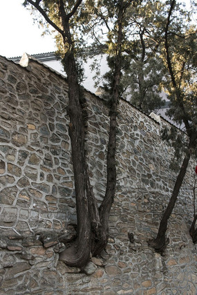 ˫������