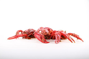 �����հײ�