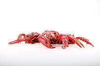 �����հײ�