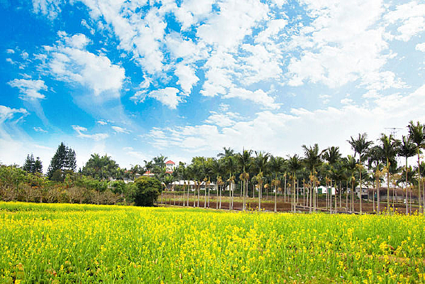 �Ͳ˻�����