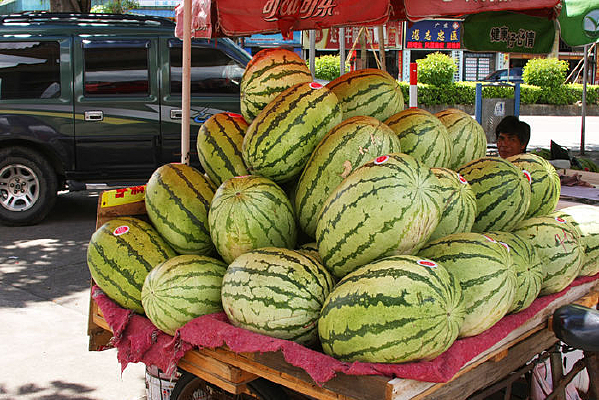 �ʺ������