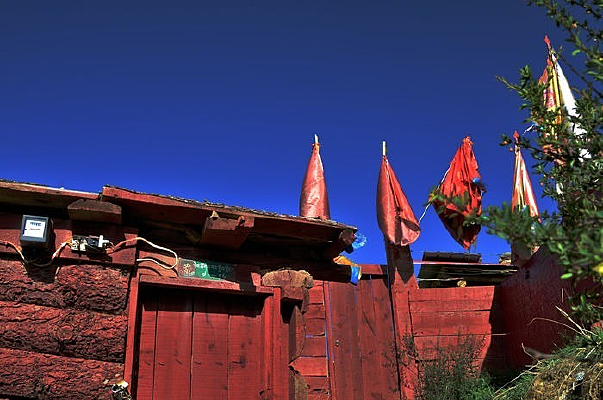 ��ɫľͷ����