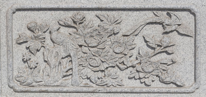 ��ҩ����