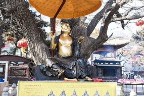 ���Ϸ���