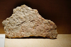 Զ�ŵ��ʻ�ʯ