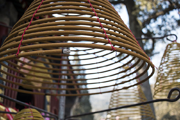 ԲȦ�������