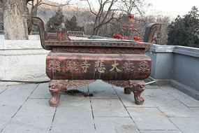 ������¯