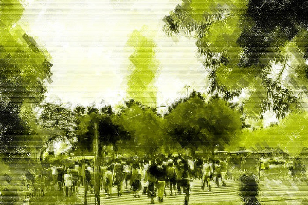 ���ɳ��л�