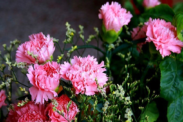 ����ܰ�廨