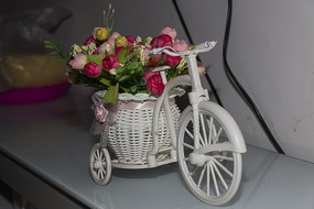 ���ֳ�����Ʒ