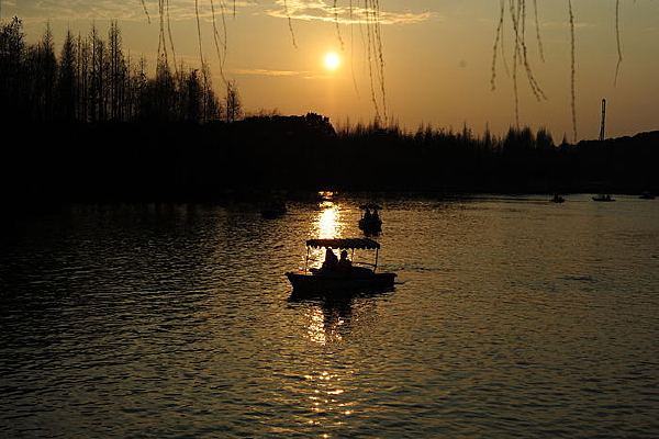 ��ʯ��԰�ƻ�