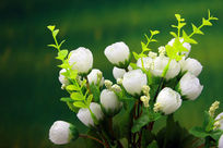 ��ɫ����