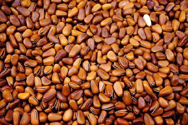 ������Ӷ�������