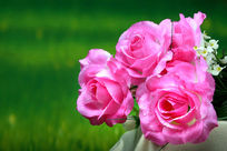 ����õ��