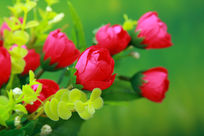 ����װ��С�컨