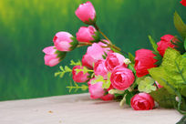 ��ɫ����