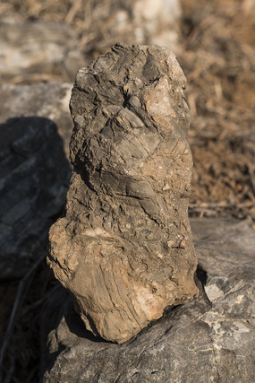 ��Ӽ����ʯ