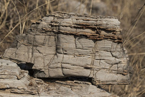 �輸����ʯ