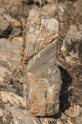 ����״��ʯ