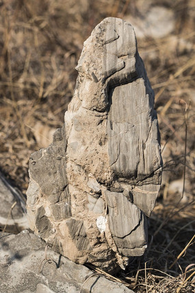 ������ʯ