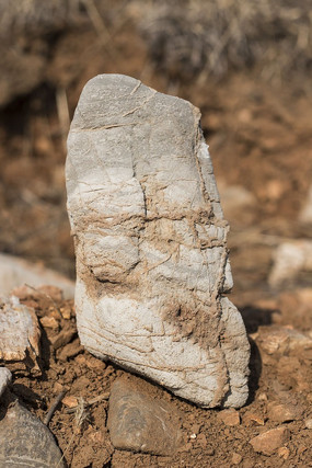 ����ũ��״��ʯ