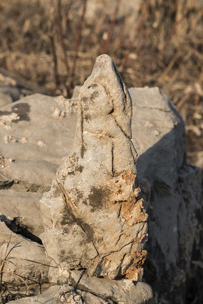 ����״��ʯ