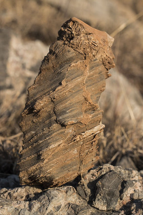 ����״��ʯ