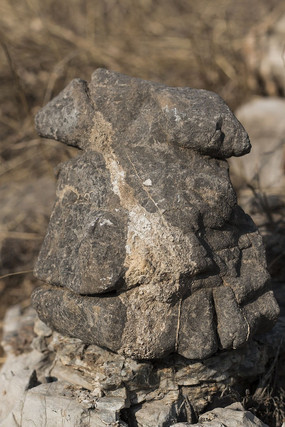 ����״��ʯ