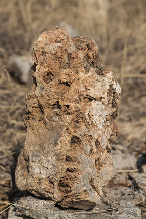 ����״��ʯ