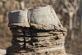 ������״��ʯ